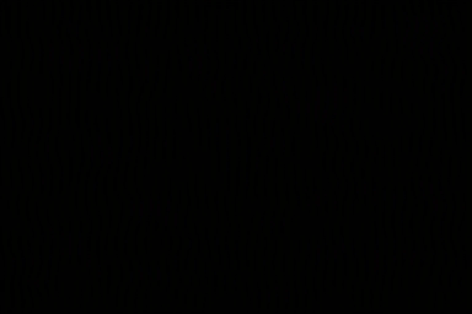 Plumber analyzing mobile site metrics dashboard