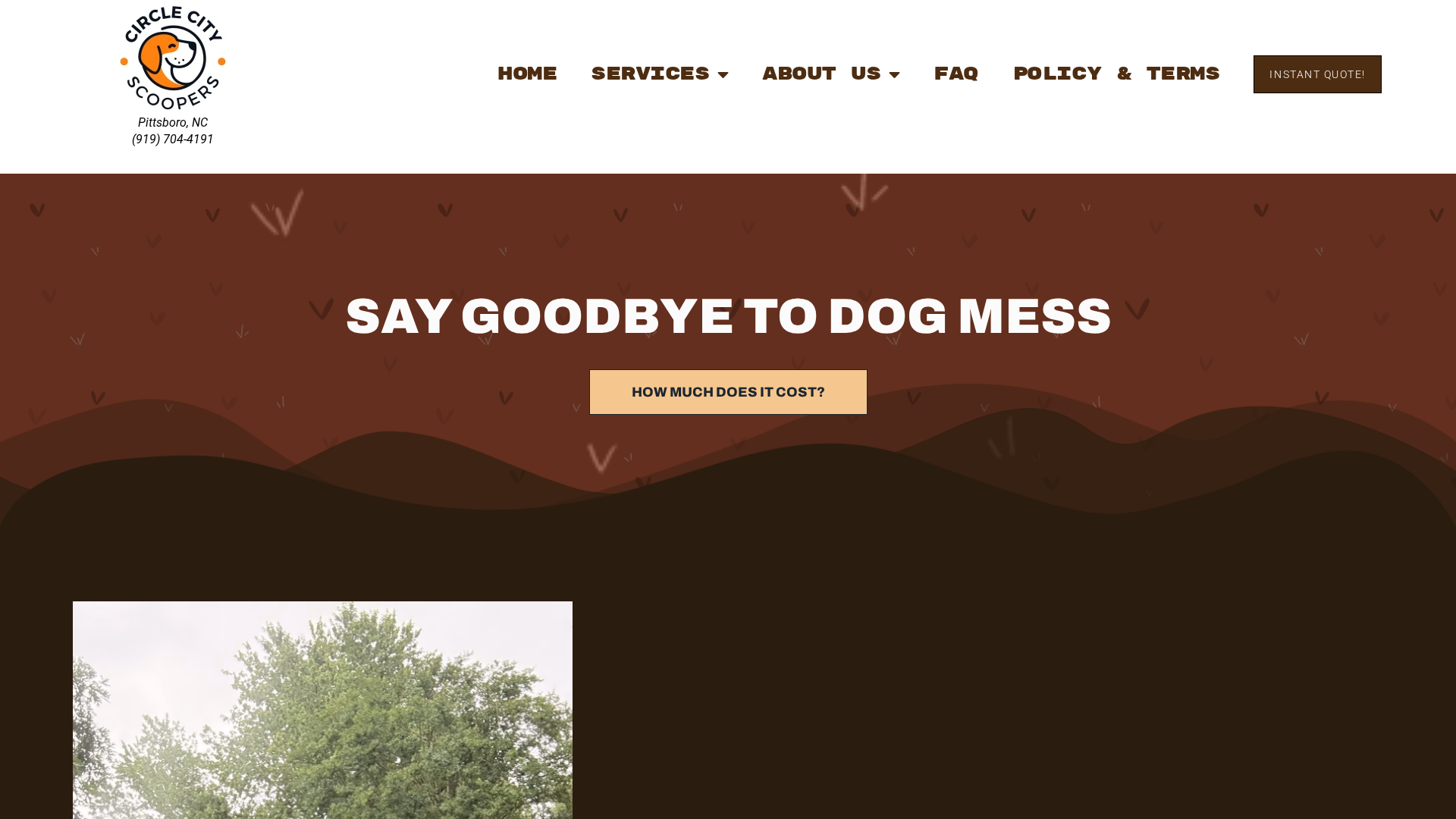 Homepage