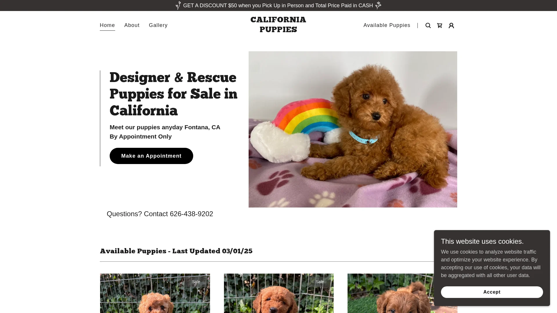 California Puppies