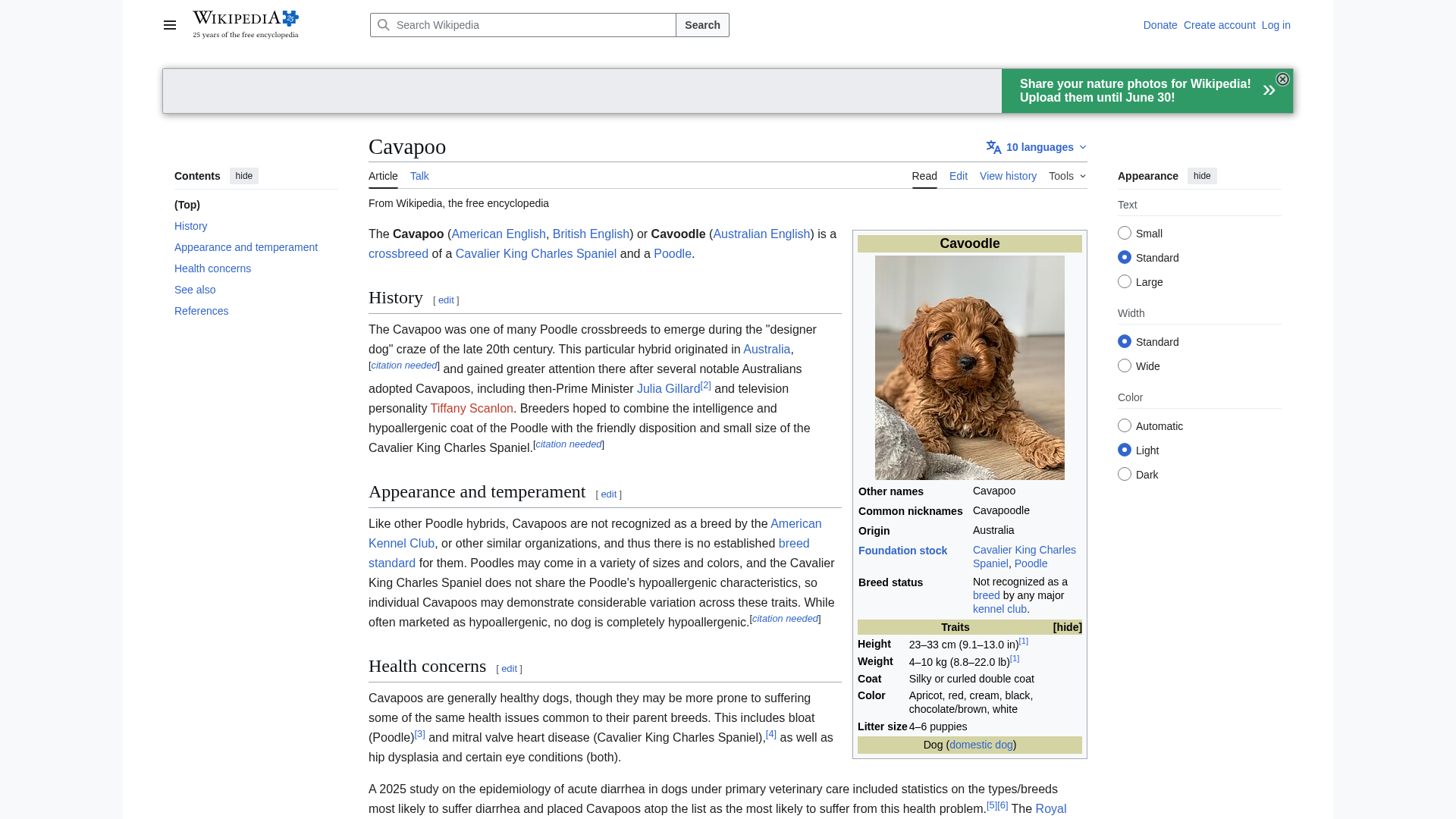 Cavapoo