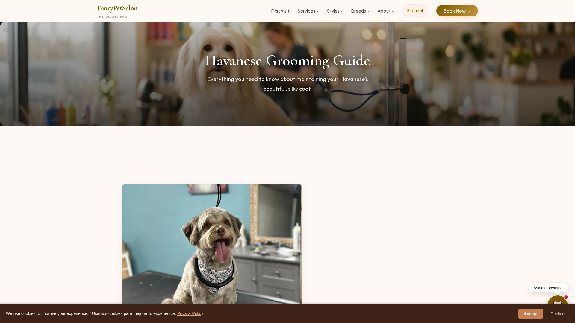 Fancy Pet Salon Havanese Grooming Guide