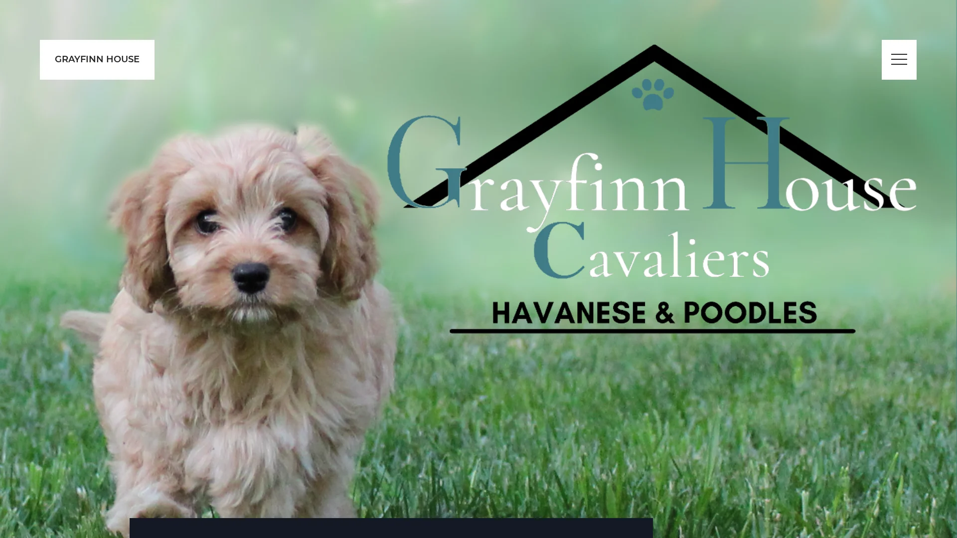 Grayfinn House