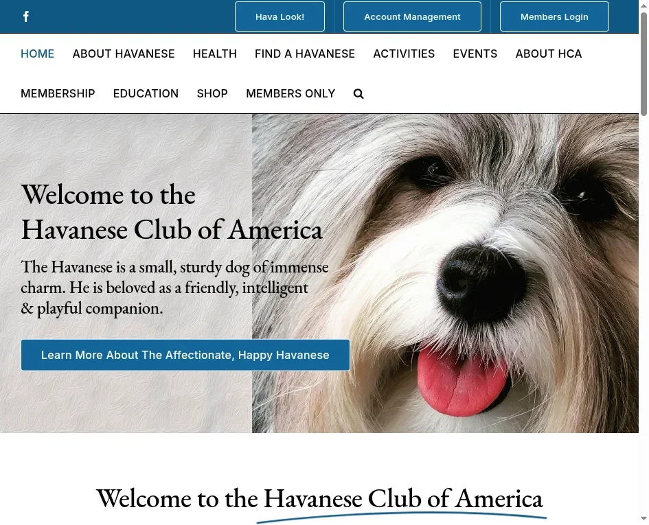 Havanese