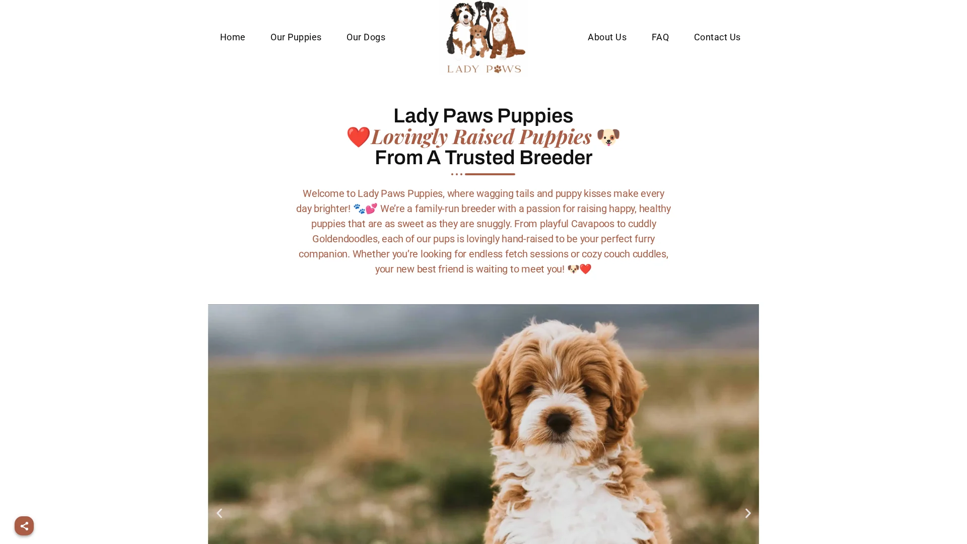 Lady Paws Puppies