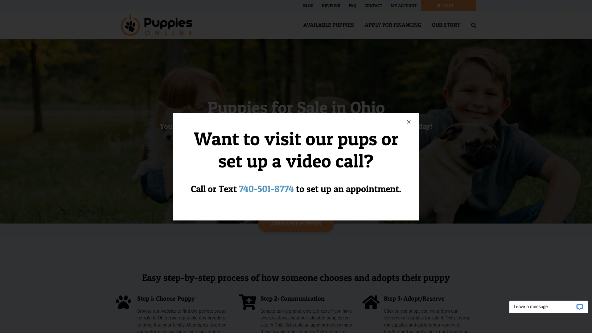 Little Puppies Online