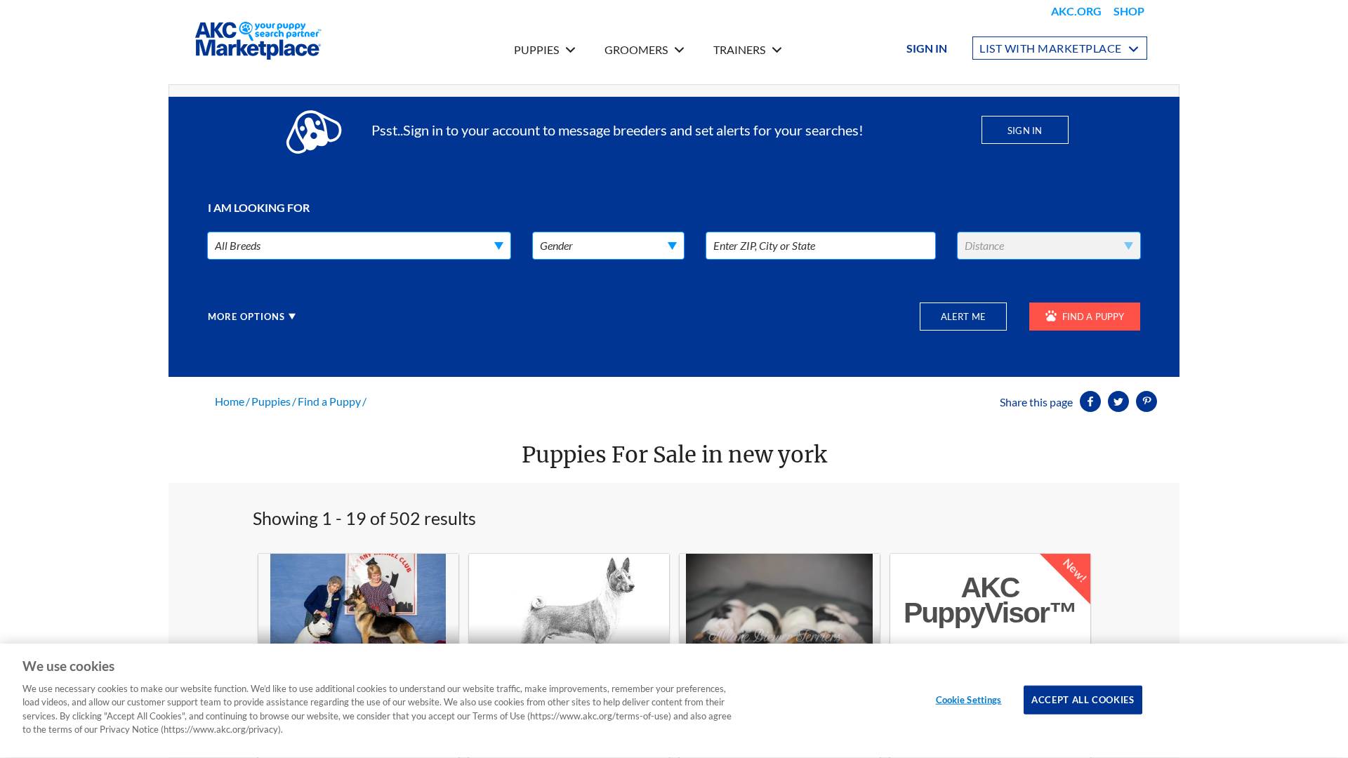 AKC Marketplace