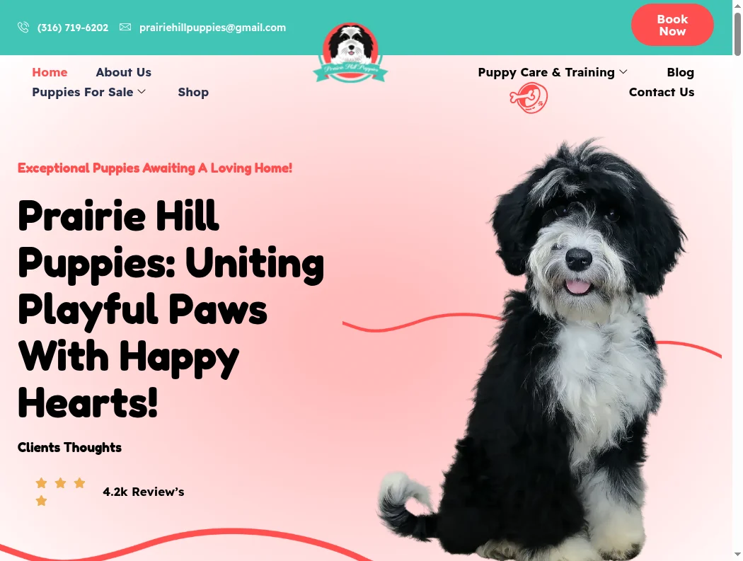 Prairie Hill Puppies