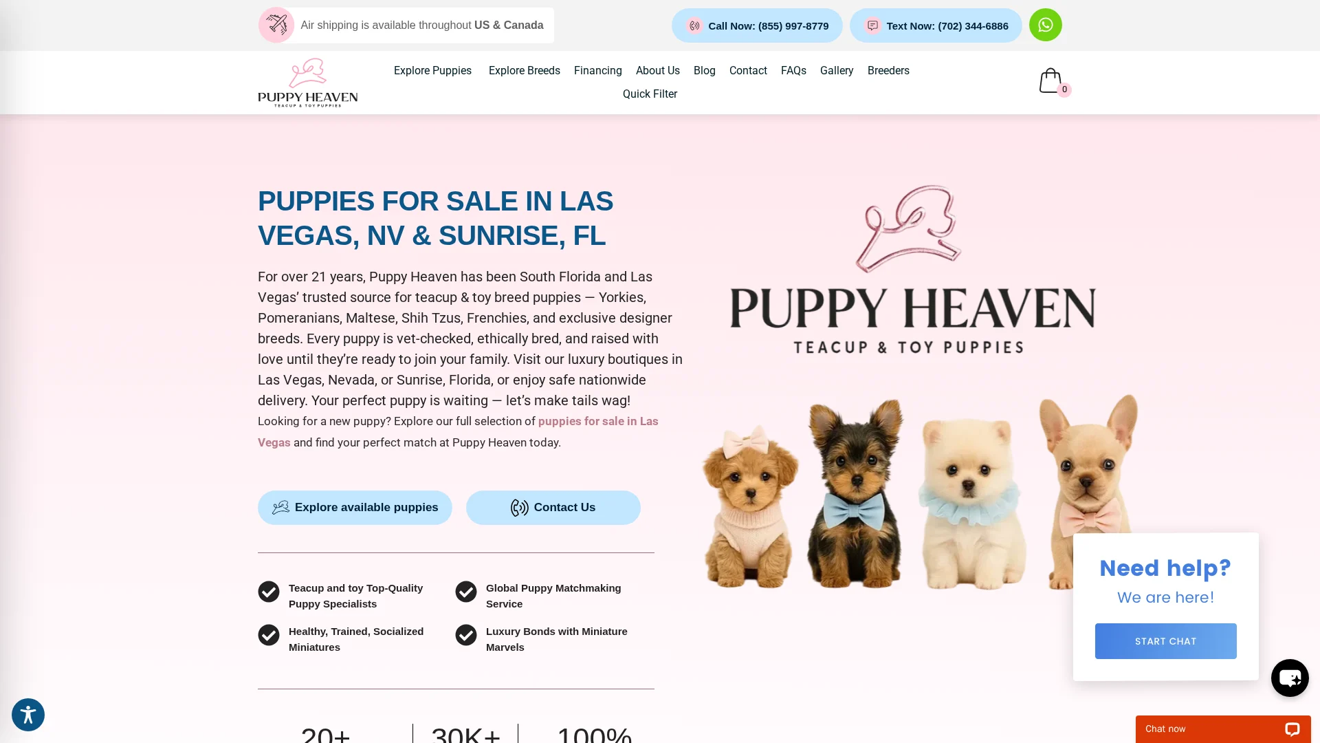 Puppy Heaven
