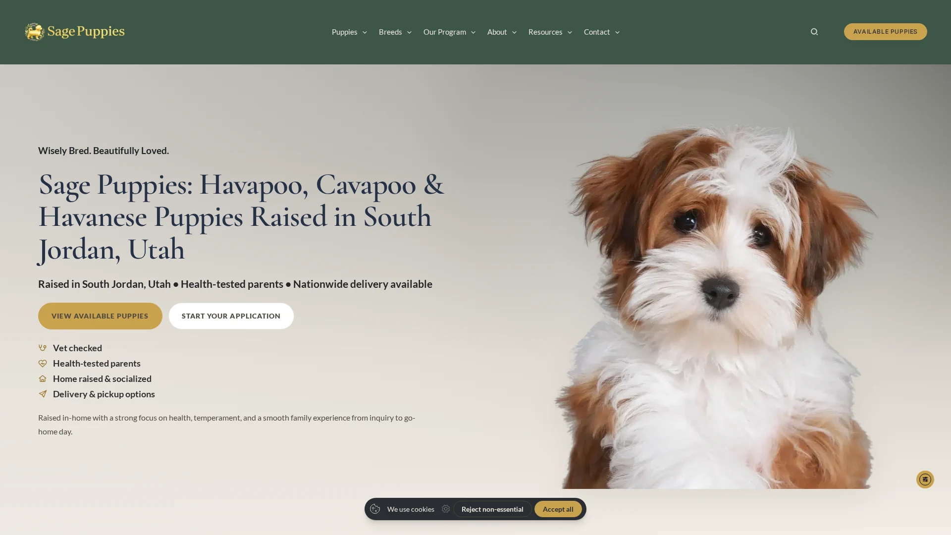 Sage Puppies