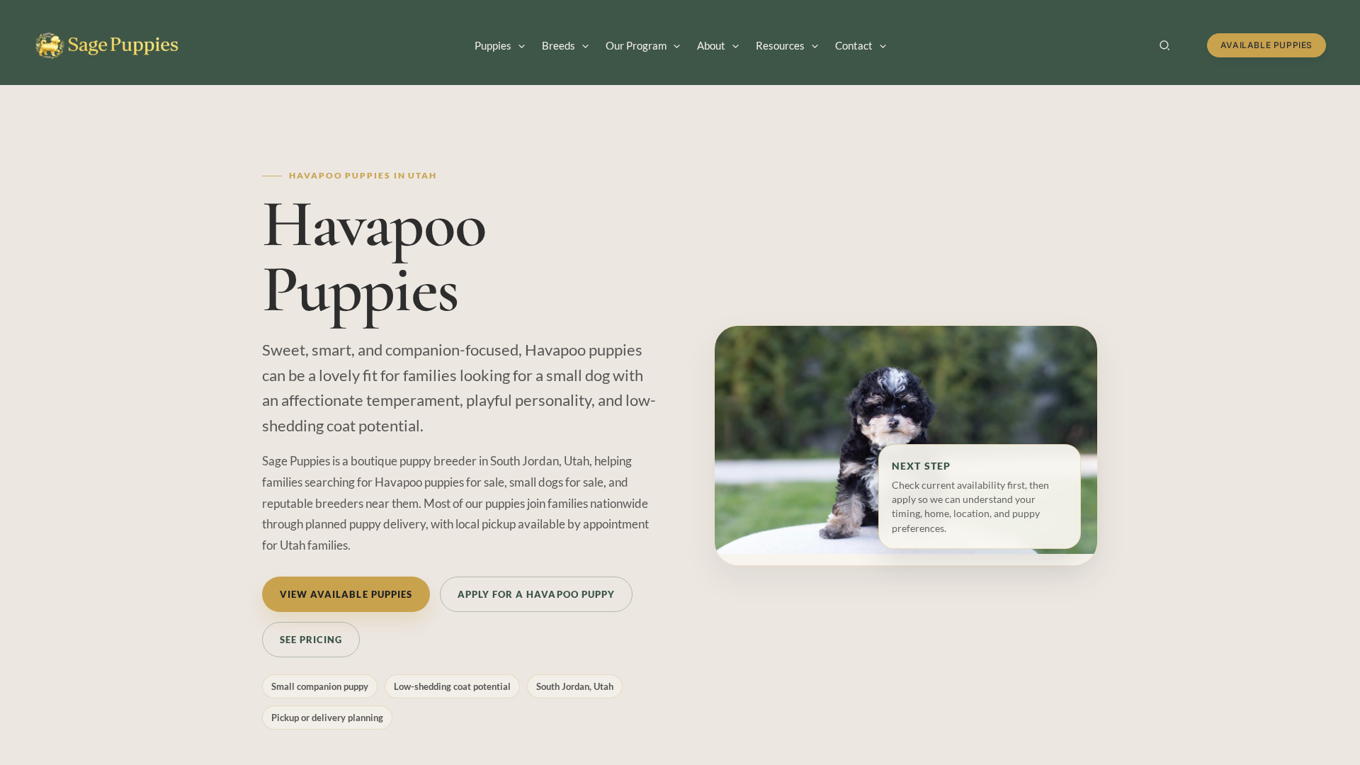 Havapoo