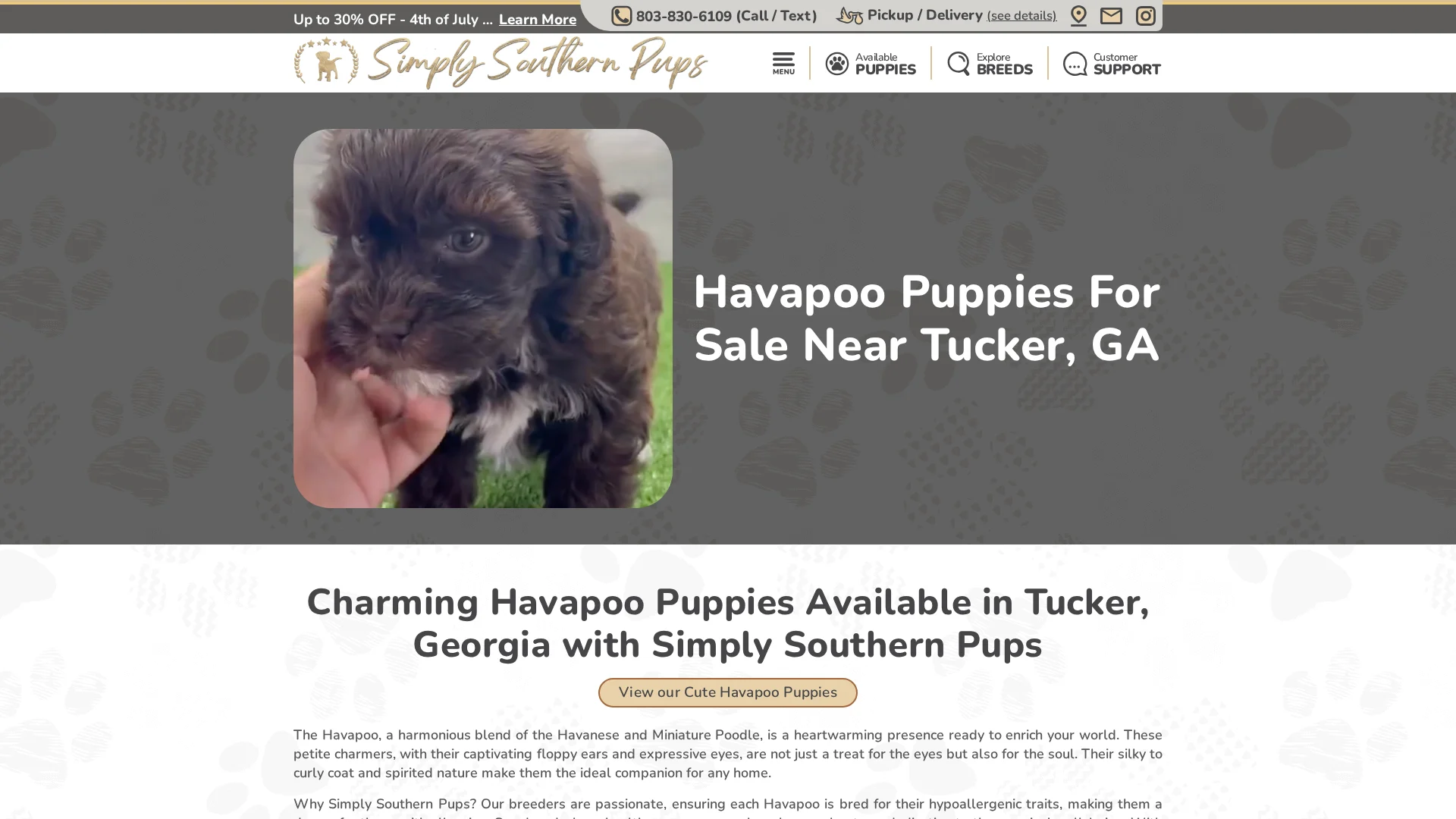 Simply Southern Pups