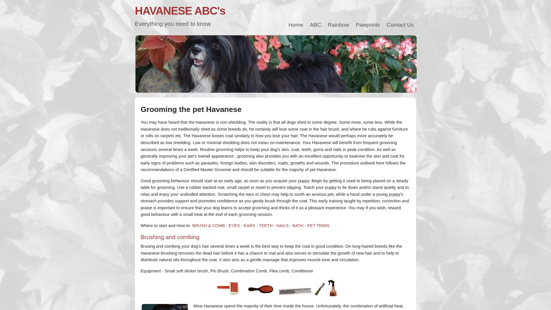 Havanese ABC