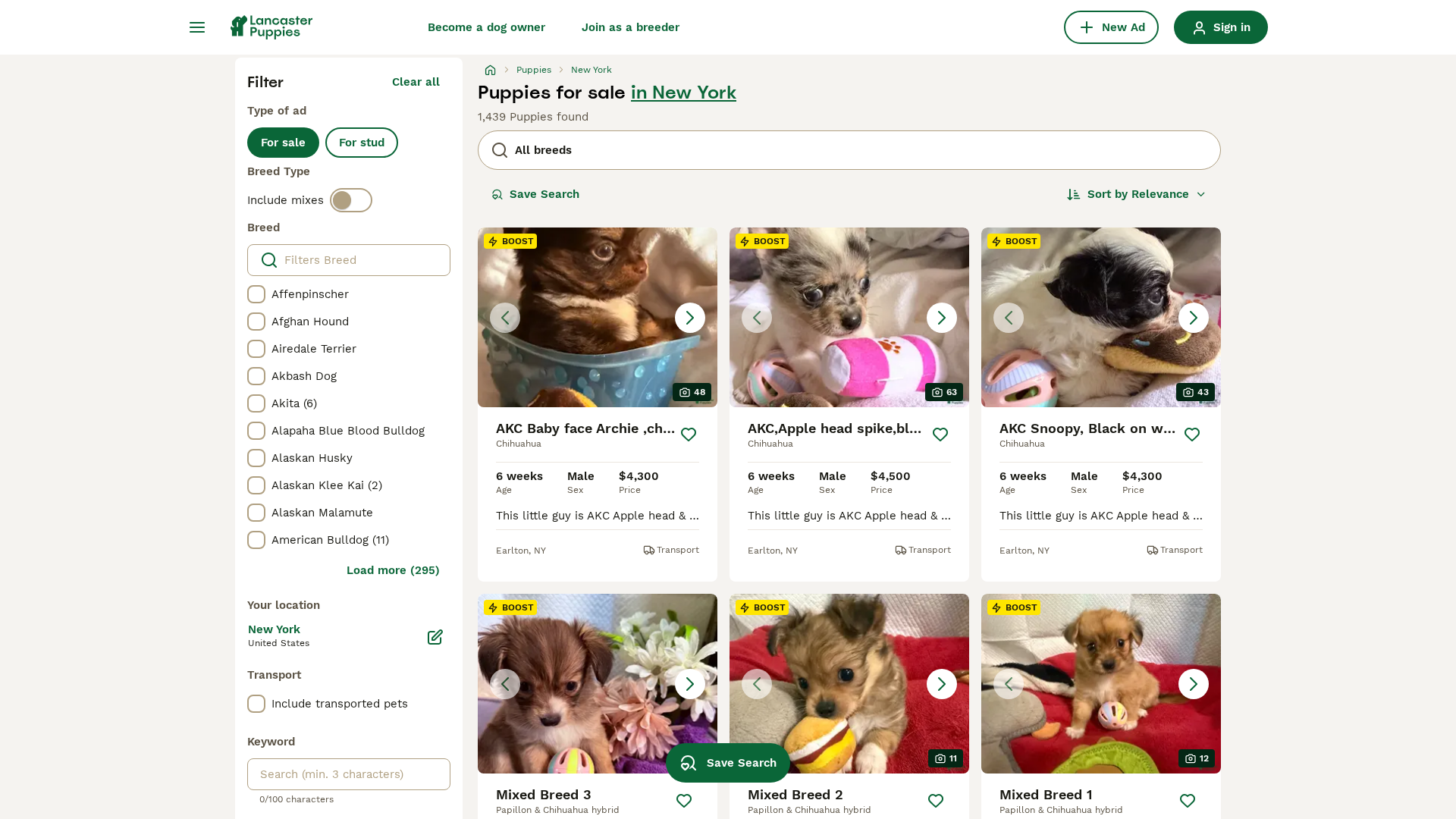 Lancaster Puppies