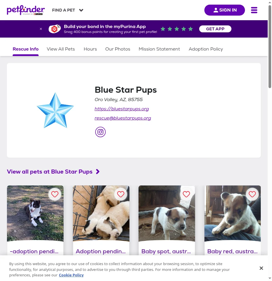 Blue Star Pups