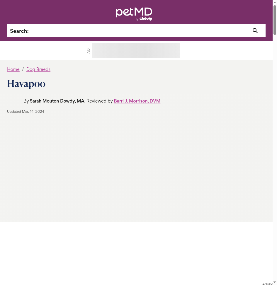 Havapoo