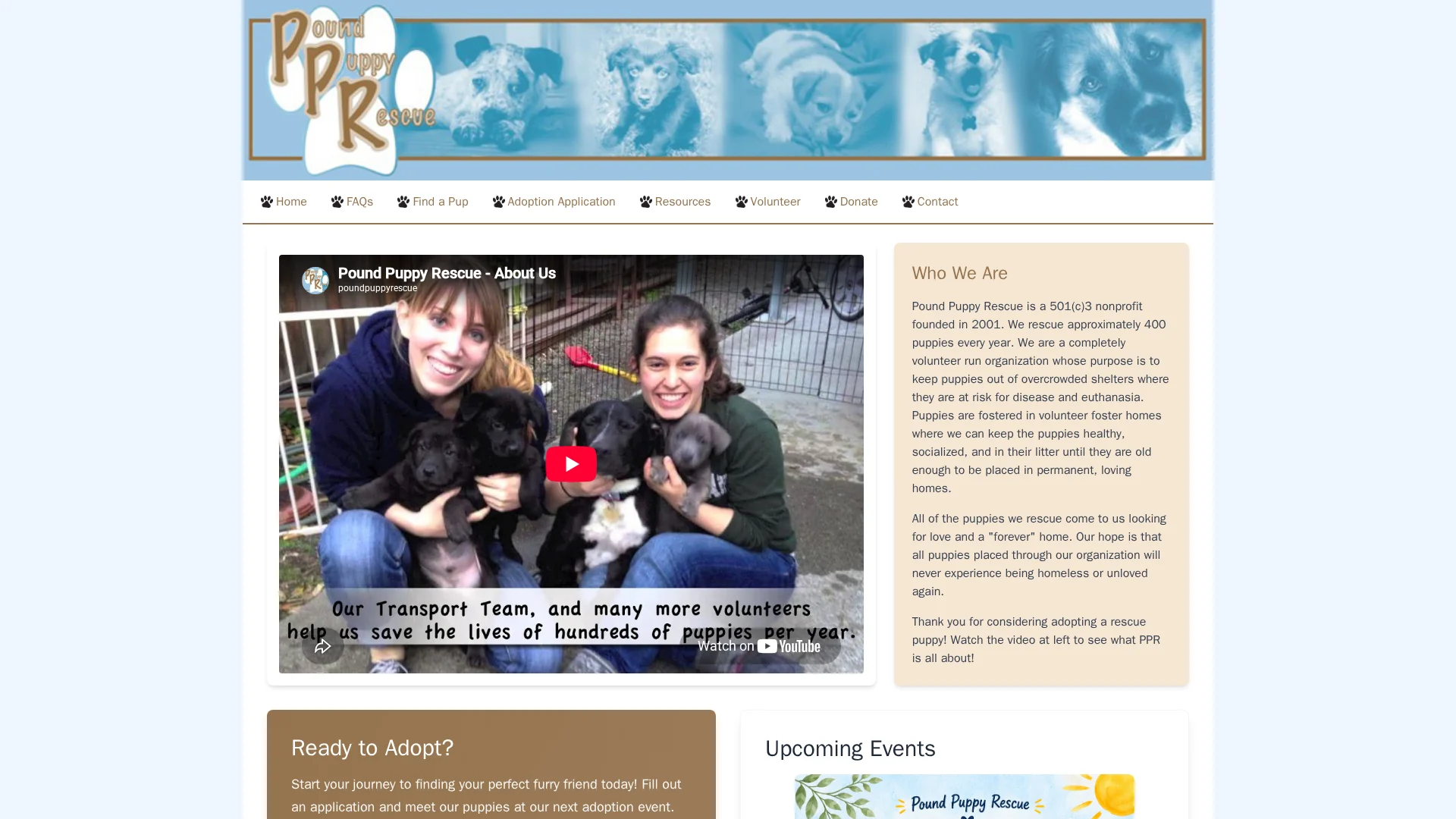 Pound Puppy Rescue