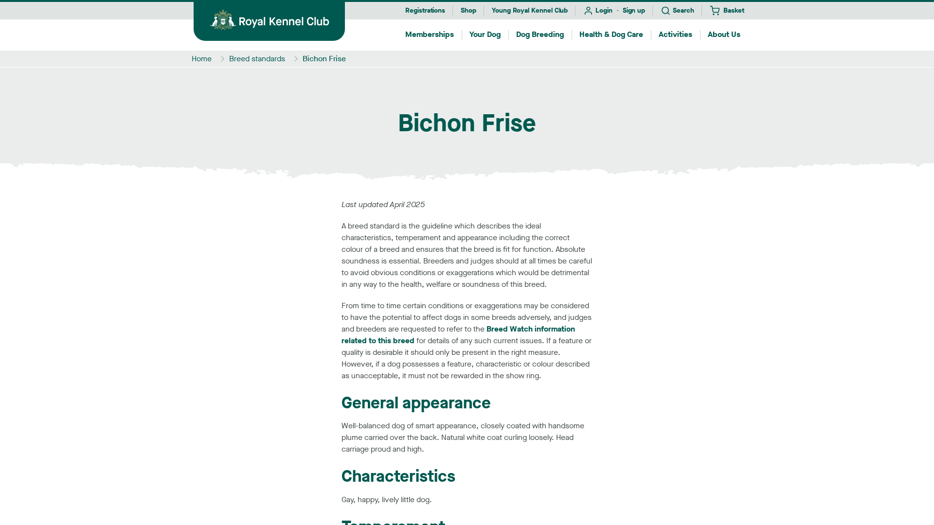 Bichon Frise