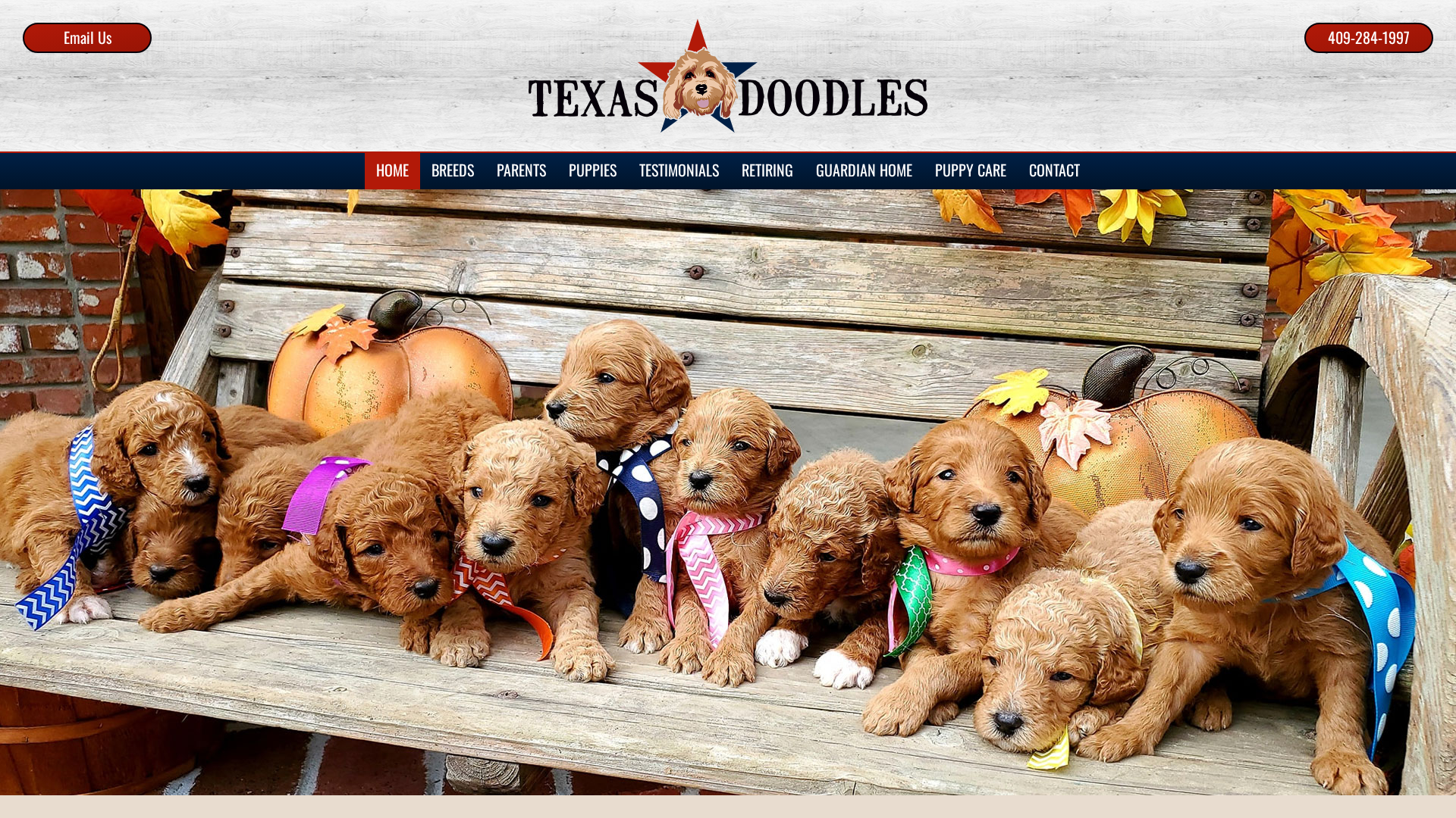 Texas Doodles