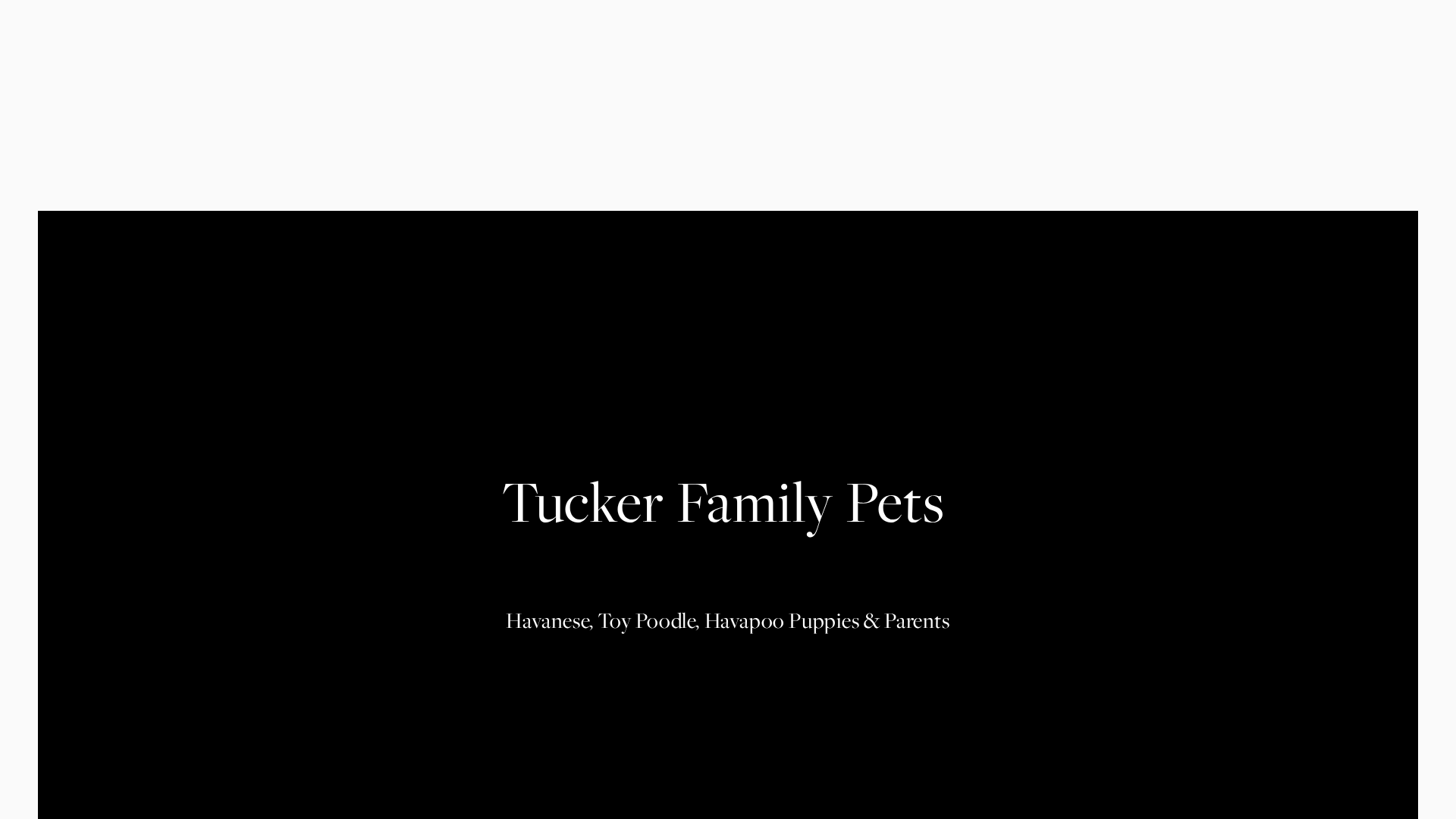 Tucker Family Pets