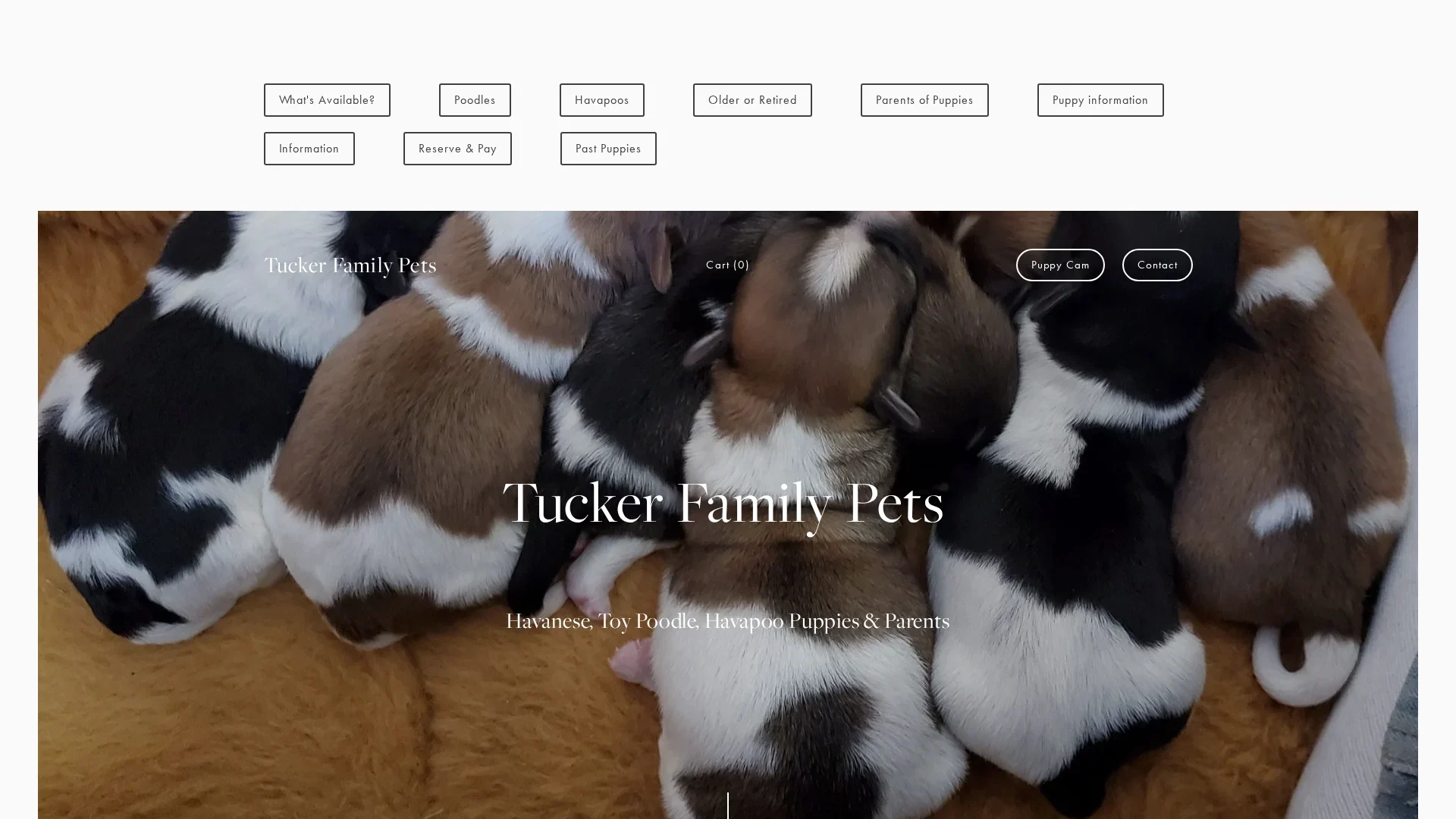 Tucker Family Pets