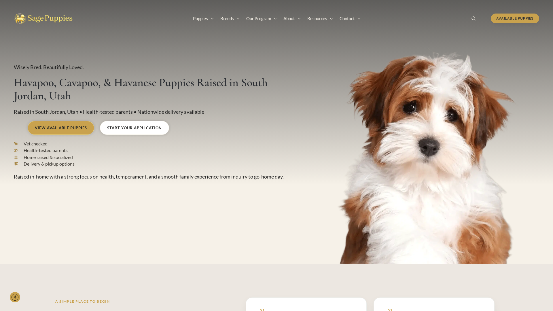 Homepage